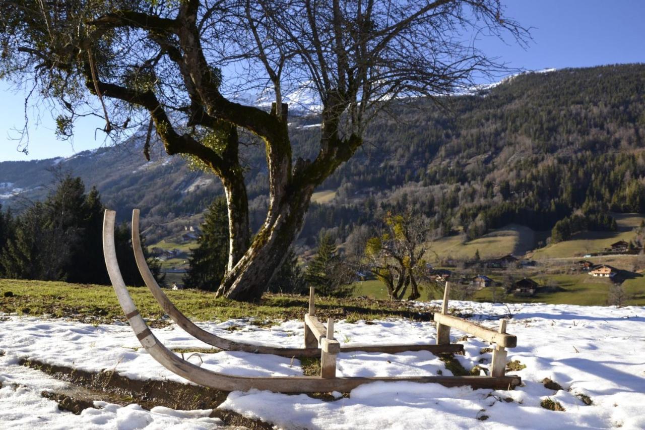 Les Picaillons - Le Chalet Les Villards-sur-Thônes エクステリア 写真
