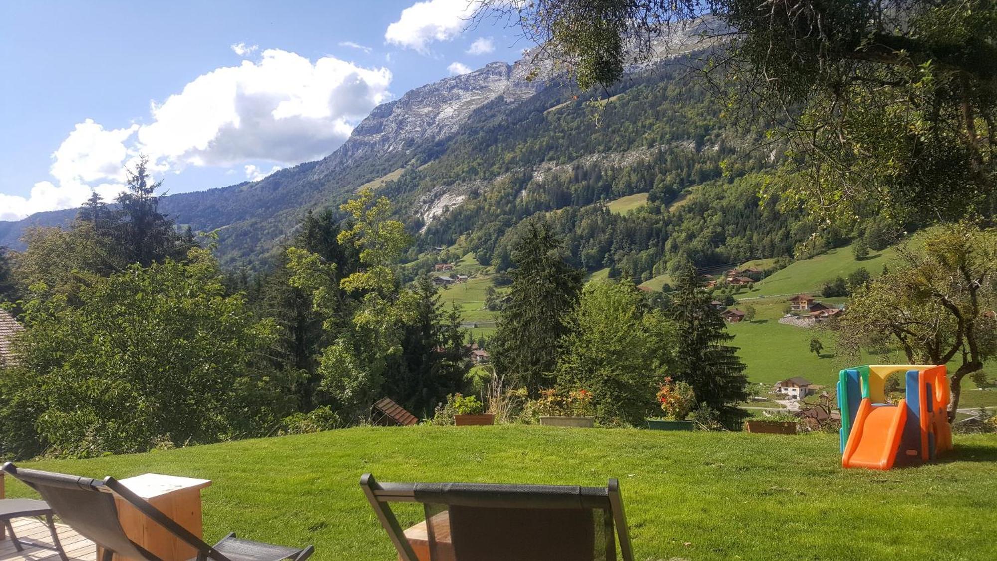 Les Picaillons - Le Chalet Les Villards-sur-Thônes エクステリア 写真